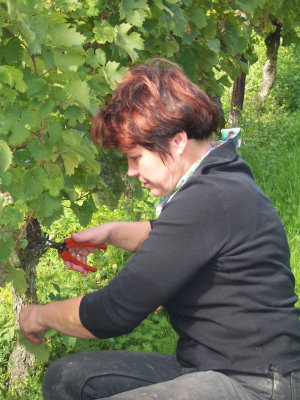 100_1920.JPG