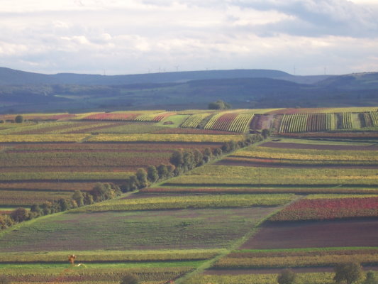 100_2004.JPG